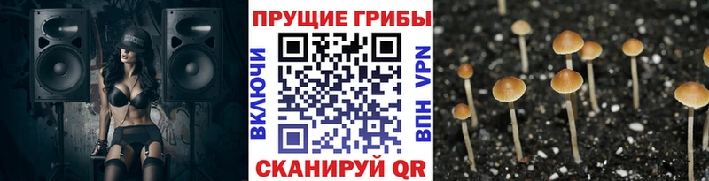 Псилоцибиновые грибы прущие грибы Сатка